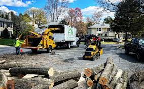 Best Landscape Design and Installation  in Robesonia, PA
